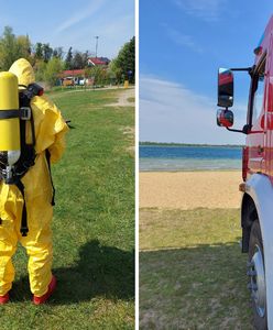 Wyspa martwych ptaków. Co zabiło mewy w Powidzu?