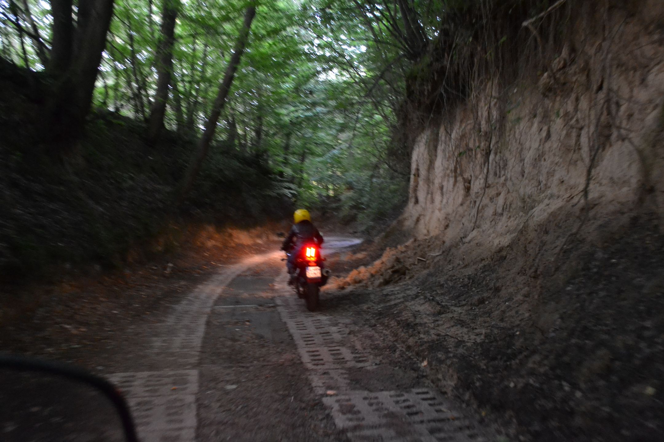 Suzuki SV650S w wąwozach lessowych 4