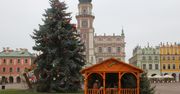 Zamość: Na Rynku Wielkim stanęła świąteczna szopka