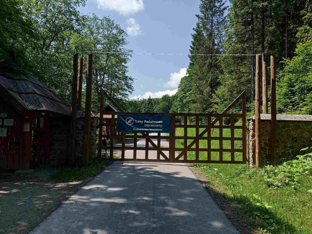 Wejście do zagrody żubrów