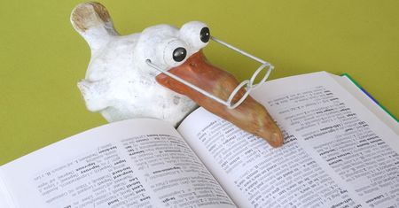 Ciapy, bańki, szneki. 10 słów z całej Polski. Czy wiesz co znaczą?