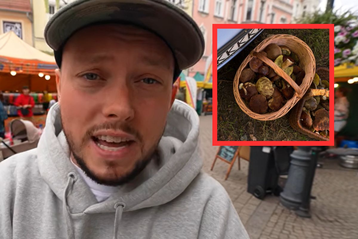 Książulo wybrał się na grzyby. Pochwalił się zbiorami