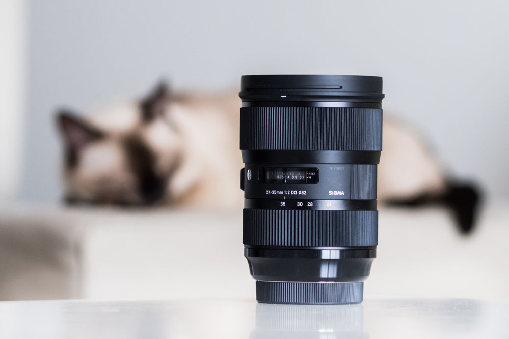 Sigma 24-35 mm f/2 Art - czy jest w stanie zastąpić trzy stałki? [recenzja]