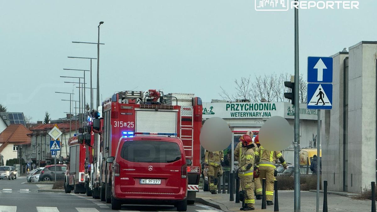 Dramat na torach w Warszawie. Poszkodowany w szpitalu