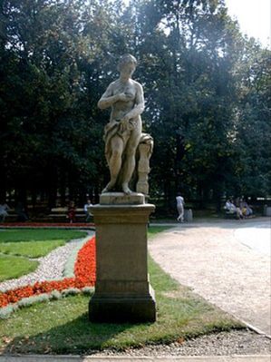 Obraz