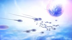 Tworzywa sztuczne mogą szkodzić spermie