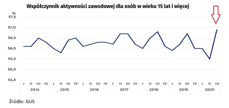 Aktywność zawodowa