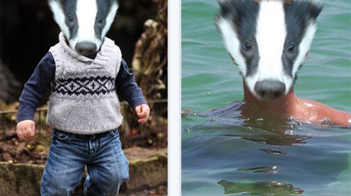 Badger Face - głupiutka aplikacja dla kawalarzy 1