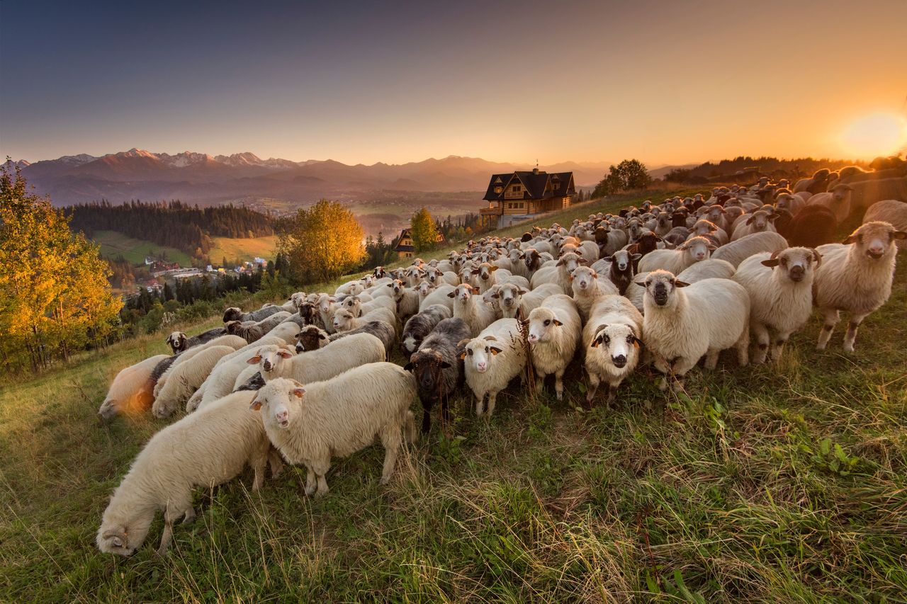 Najpiękniejsze miejsca w Poroninie i okolicy dla miłośników górskiej fotografii