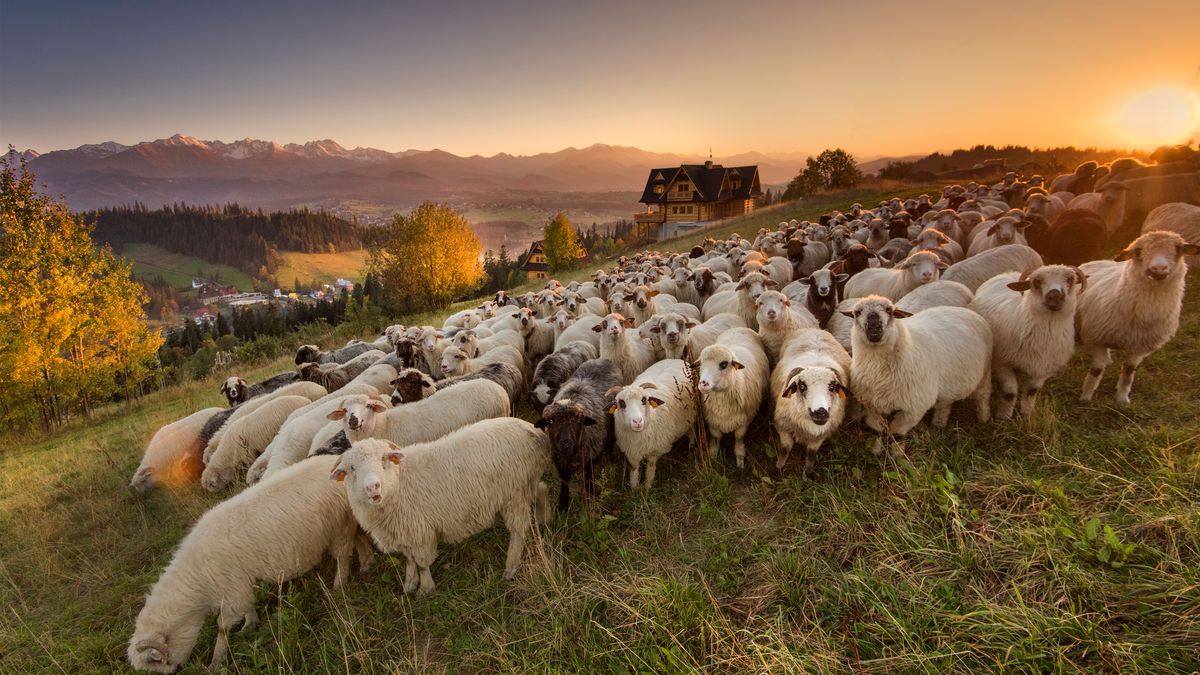 Widoki są naprawdę piękne!