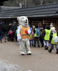 Ona też spotkała "misia". "Facet zaczął grzebać w futrze"