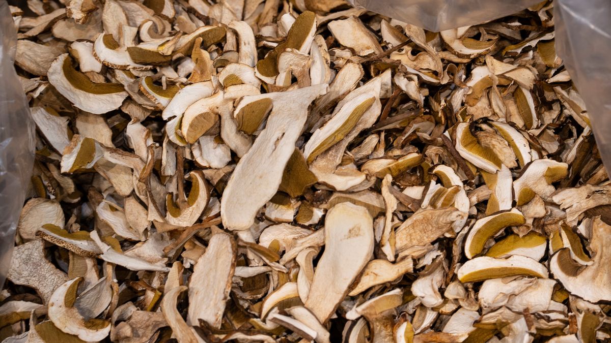 Suszone grzyby niestety przyciągają mole