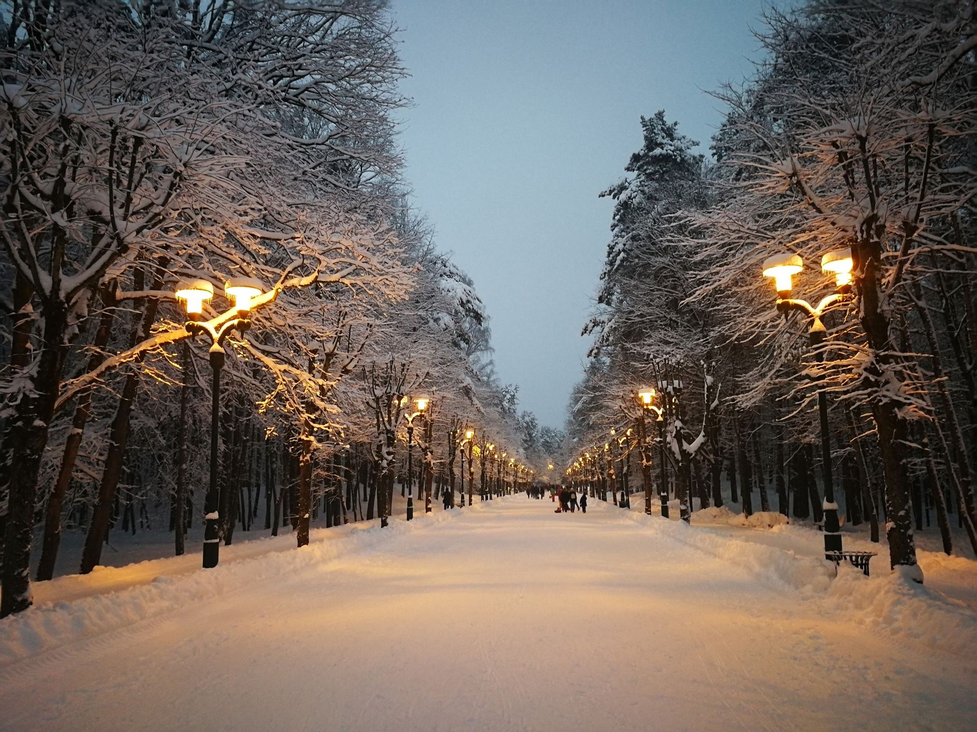 Mežaparks