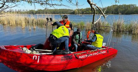 Zabili niemal 300 piskląt kormoranów. Policja schwytała dwóch kłusowników