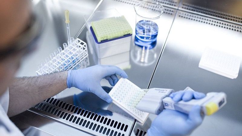 Koronawirus w Polsce. Wrocław z szybkim testem na COVID-19. Wstępny wynik już w 15 minut 