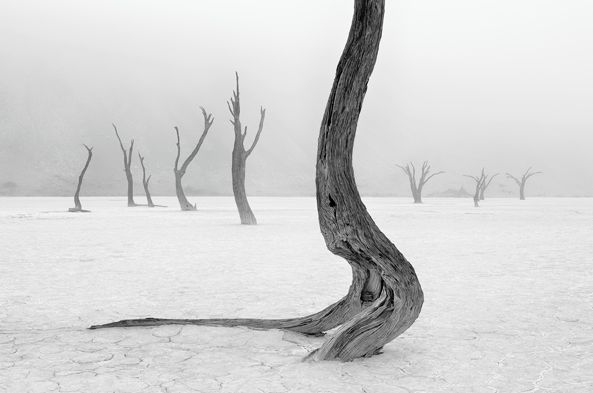 Piotr Trybalski nagrodzony w konkursie Travel Photographer of the Year 2014 17