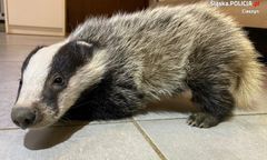 Wisła. Nietypowa akcja. Co znaleźli policjanci zamiast przestępców?