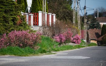 Kto wystawia przed domem, może mieć problemy. Kara za każdy dzień