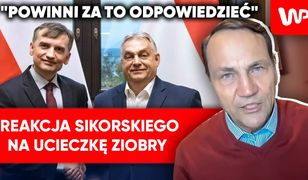 Ziobro spotkał się z Orbanem. Sikorski zdradził plan działania rządu