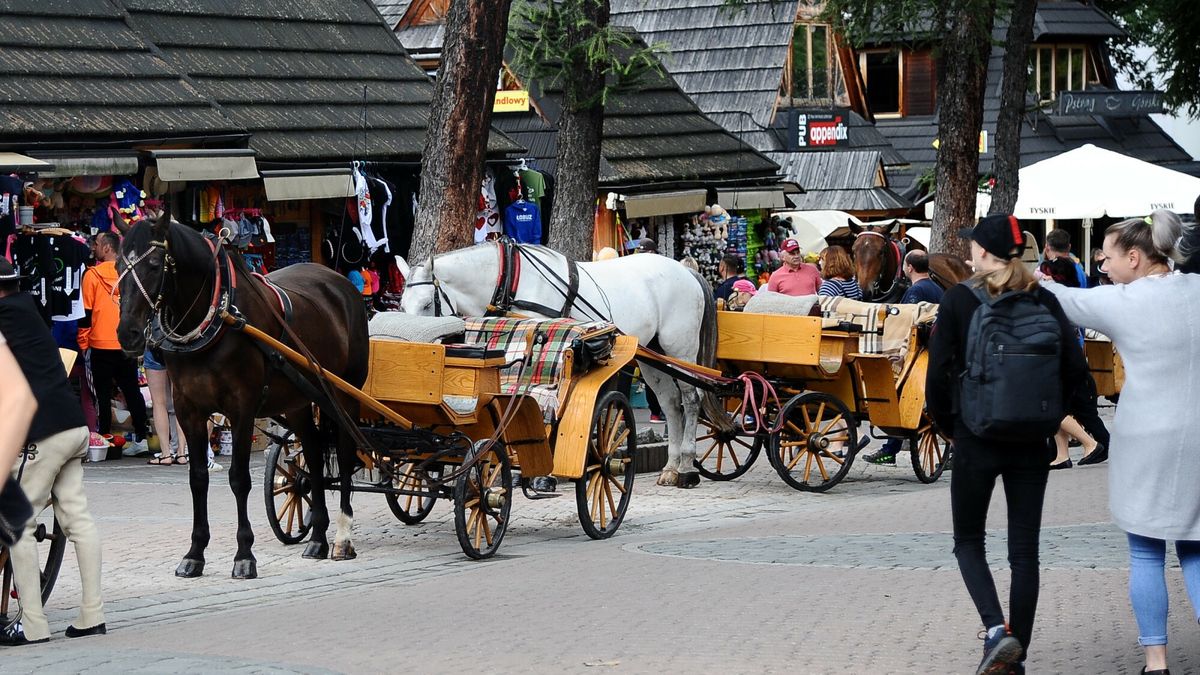 Górale mają problem. Nie ma ludzi do pracy. Winią 500 plus
