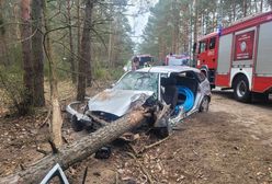 Koszmarny wypadek w Anastazewie. Drzewo przebiło samochód