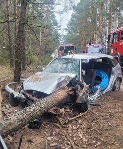 Koszmarny wypadek w Anastazewie. Drzewo przebiło samochód