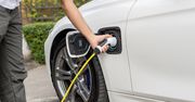 Krzyżówka dla fanów motoryzacji. Co wiesz o samochodach elektrycznych?