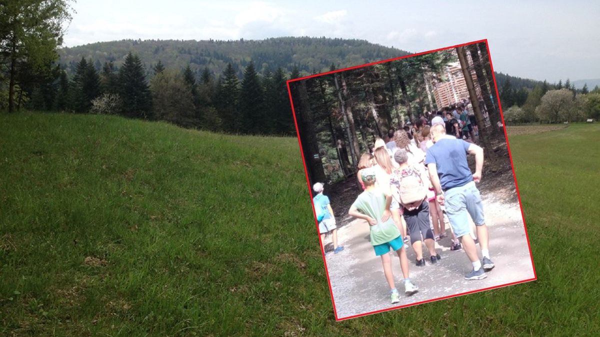 Wieża widokowa na szczycie Łysula nieopodal Gorlic stała się popularną atrakcją turystyczną.