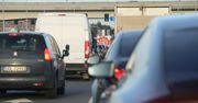 Wypadek na DK15. Chaos na drodze do Torunia po zderzeniu auta z łosiem. Kierowcy stracą 2 godziny