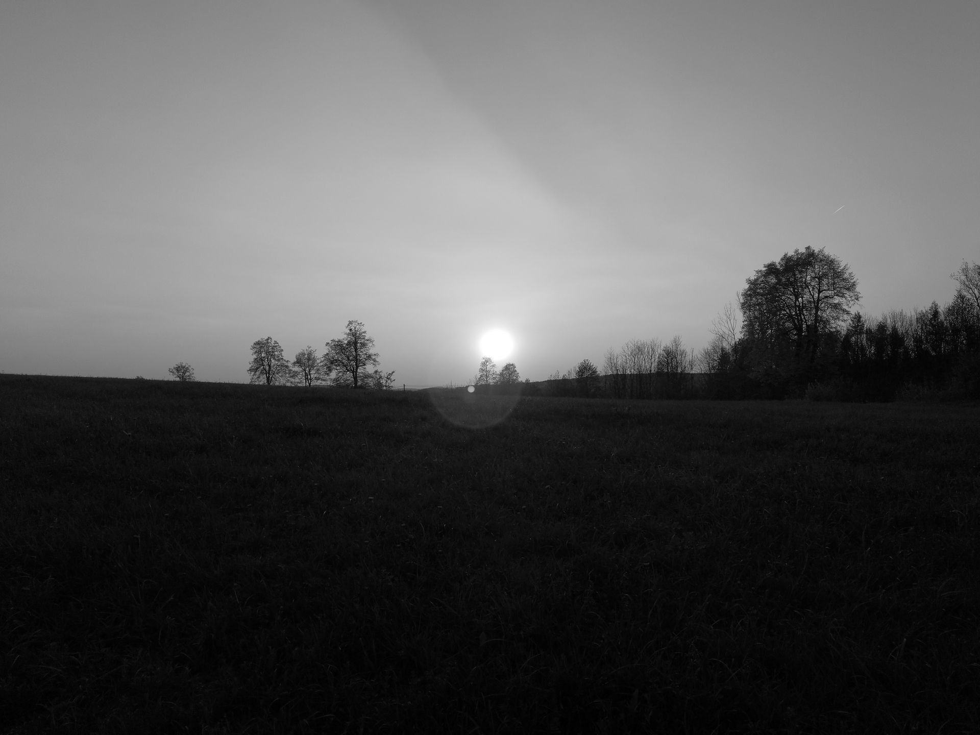 Huawei P10 - test i recenzja 85