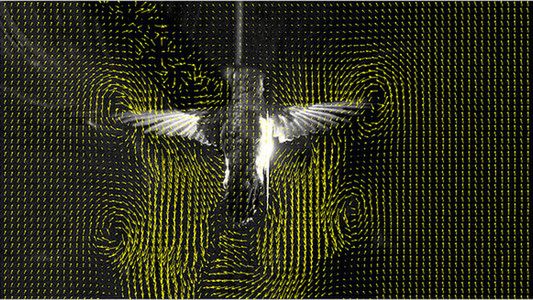 Ładne prawda? Tylko co to właściwie jest? 1