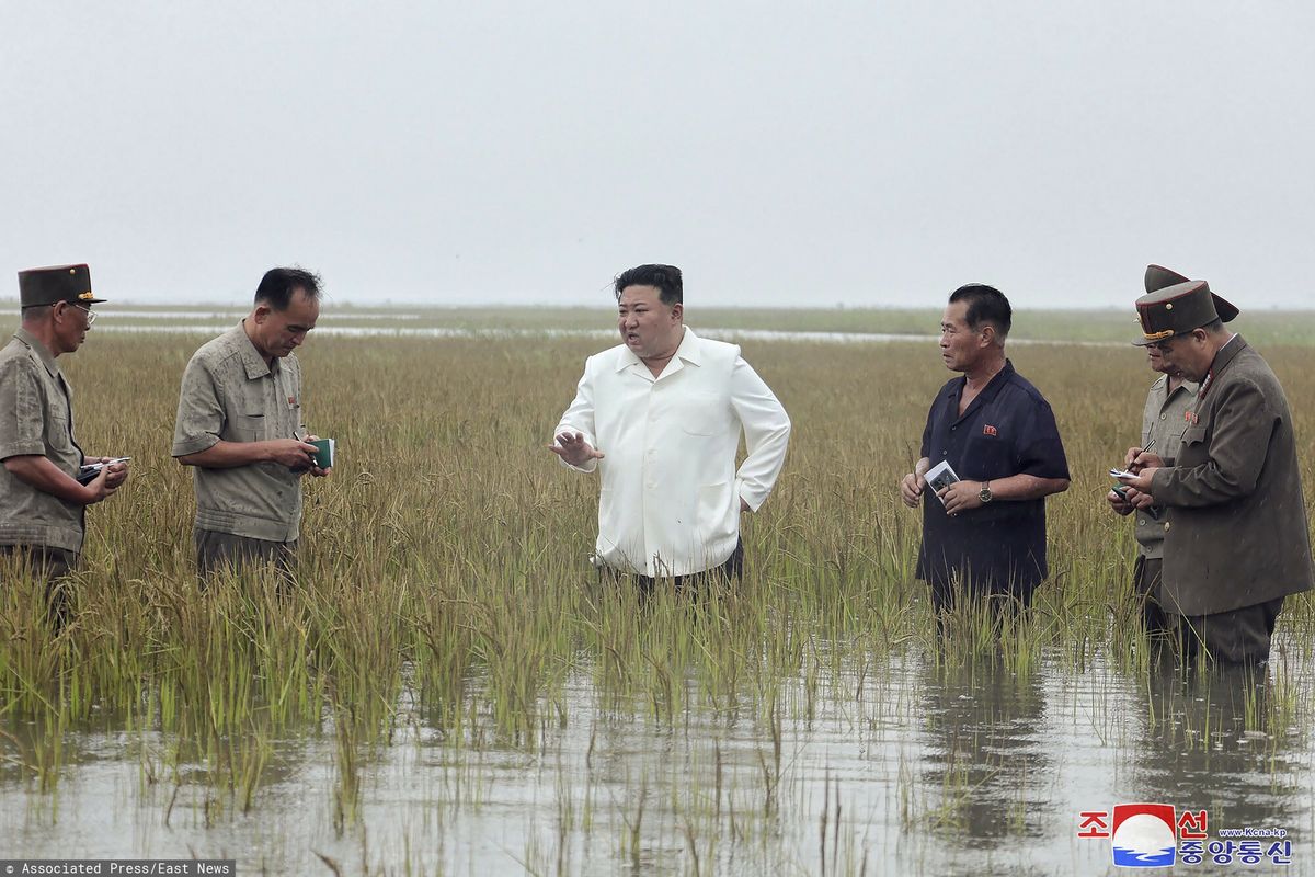 Kim Dzong Un przeprowadza inspekcję na zalanych polach ryżowych. Na winnych powodzi posypia się kary