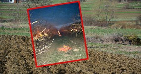Poszła na pole i się rozpłakała. "Tragedia"