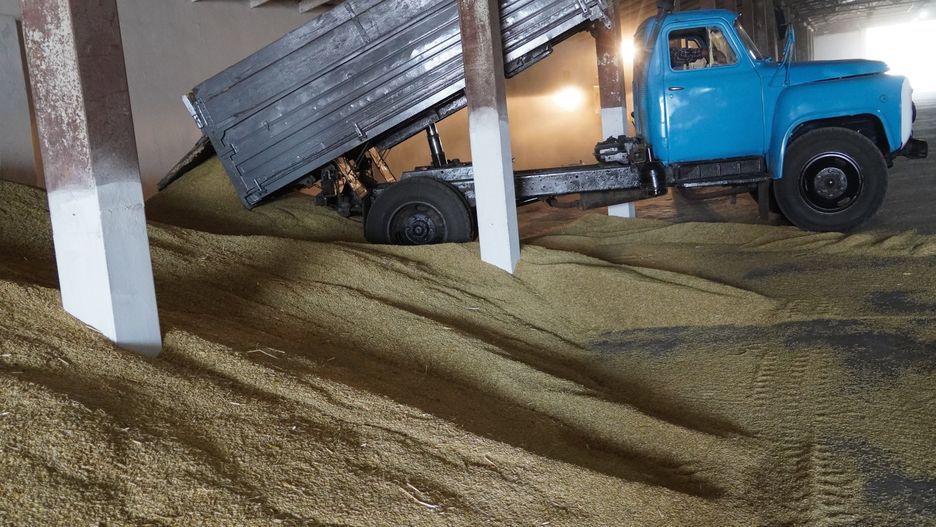 magazyn zbo�a
Obw�d odeski, Ukraina, 23.06.2023. Magazyn zbo�a podczas �niw w obwodzie odeskim, 23 bm. Trwa inwazja Rosji na Ukrain�. (jm) PAP/Alena Solomonova
Alena Solomonova
bocian, bociany, kombajn, pole, zbiory, zbi�r, zbo�e, �niwa