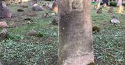 Ta wioska to wehikuł czasu. Turyści wyjeżdżają z Kruszynian, nic o nich nie wiedząc