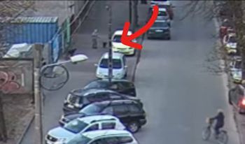 Dwa psy biegały luzem. Właścicielka zapłaci mandat