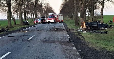"Drogi krajowe, z ogromnym nasileniem ruchu, muszą się rozszerzać." Ale nie każde drzewo trzeba wyciąć