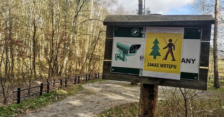 Do lasu w maseczce ochronnej? Minister środowiska wyjaśnia