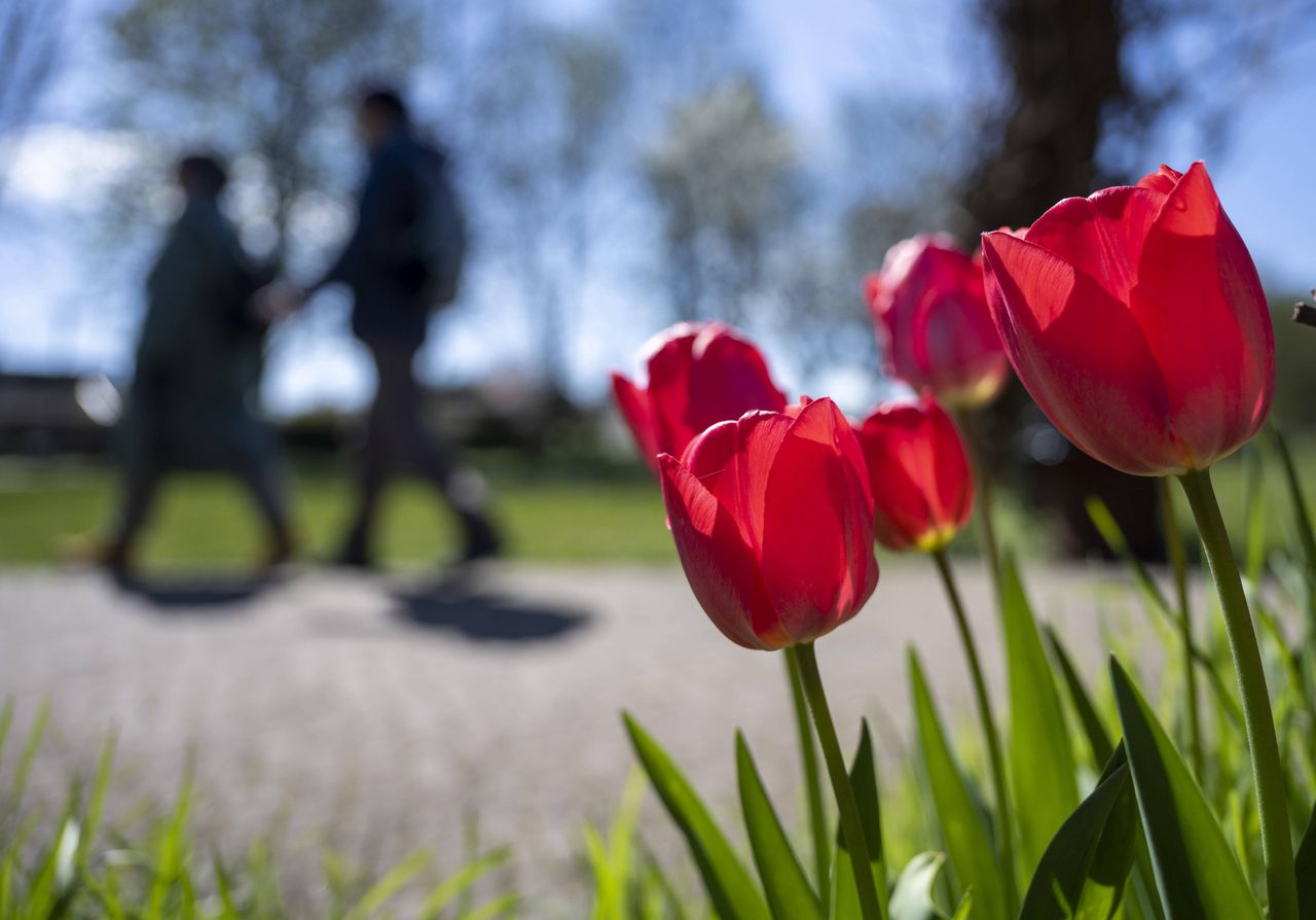 Pogoda na weekend: słońce, chmury i miejscami przelotny deszcz