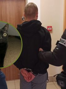 Mama kryła synka przed policją. "Kotfident" od razu go sprzedał