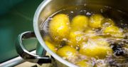 Nie wylewaj! Tak wykorzystasz wodę po gotowaniu ziemniaków
