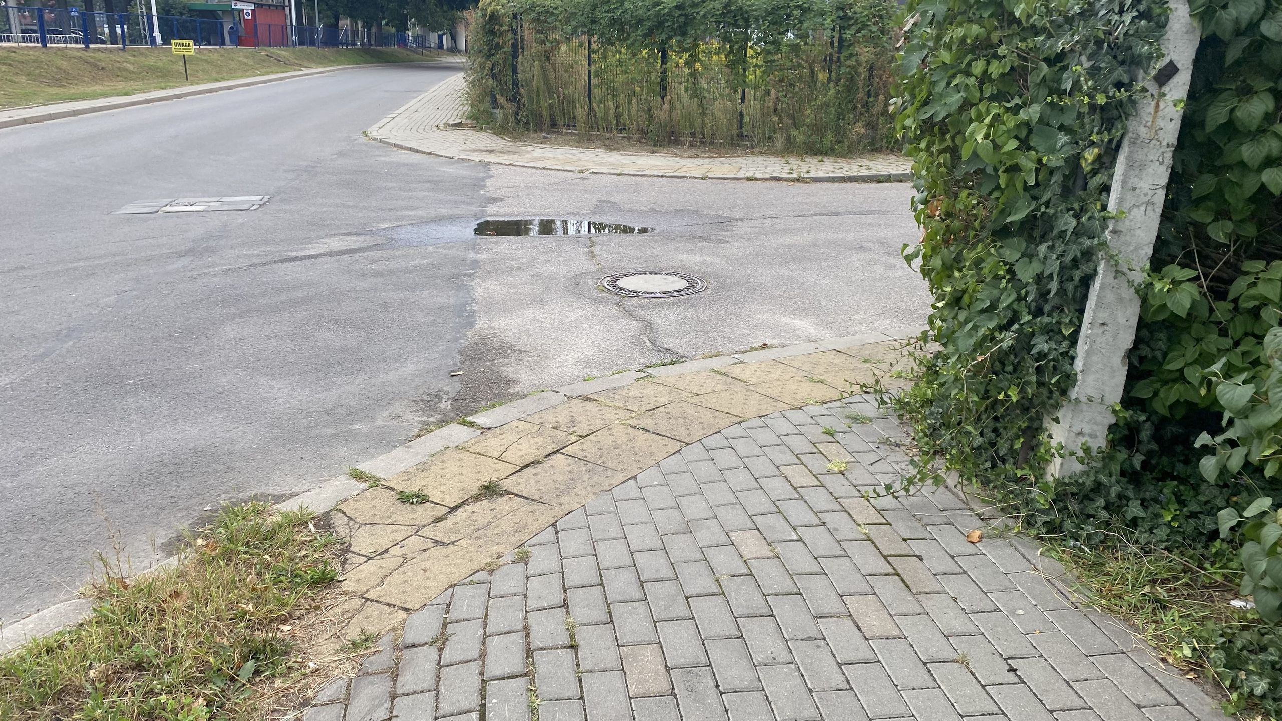 Wyjątek - na tym przejściu sugerowanym pierwszeństwo ma pieszy, ale tylko wobec pojazdu skręcającego w drogę, na której się ono znajduje.  