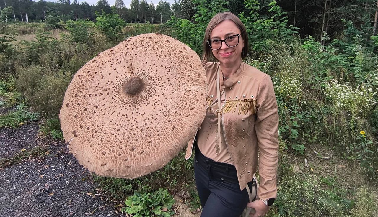 Kosmos, co znalazła w lesie. Łapią się za głowy. "Szok"