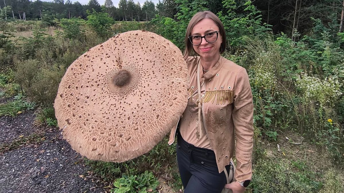 Pani Monika znalazła ogromną kanię.