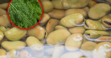 Ile kalorii ma gotowany bób? Będziesz zaskoczony