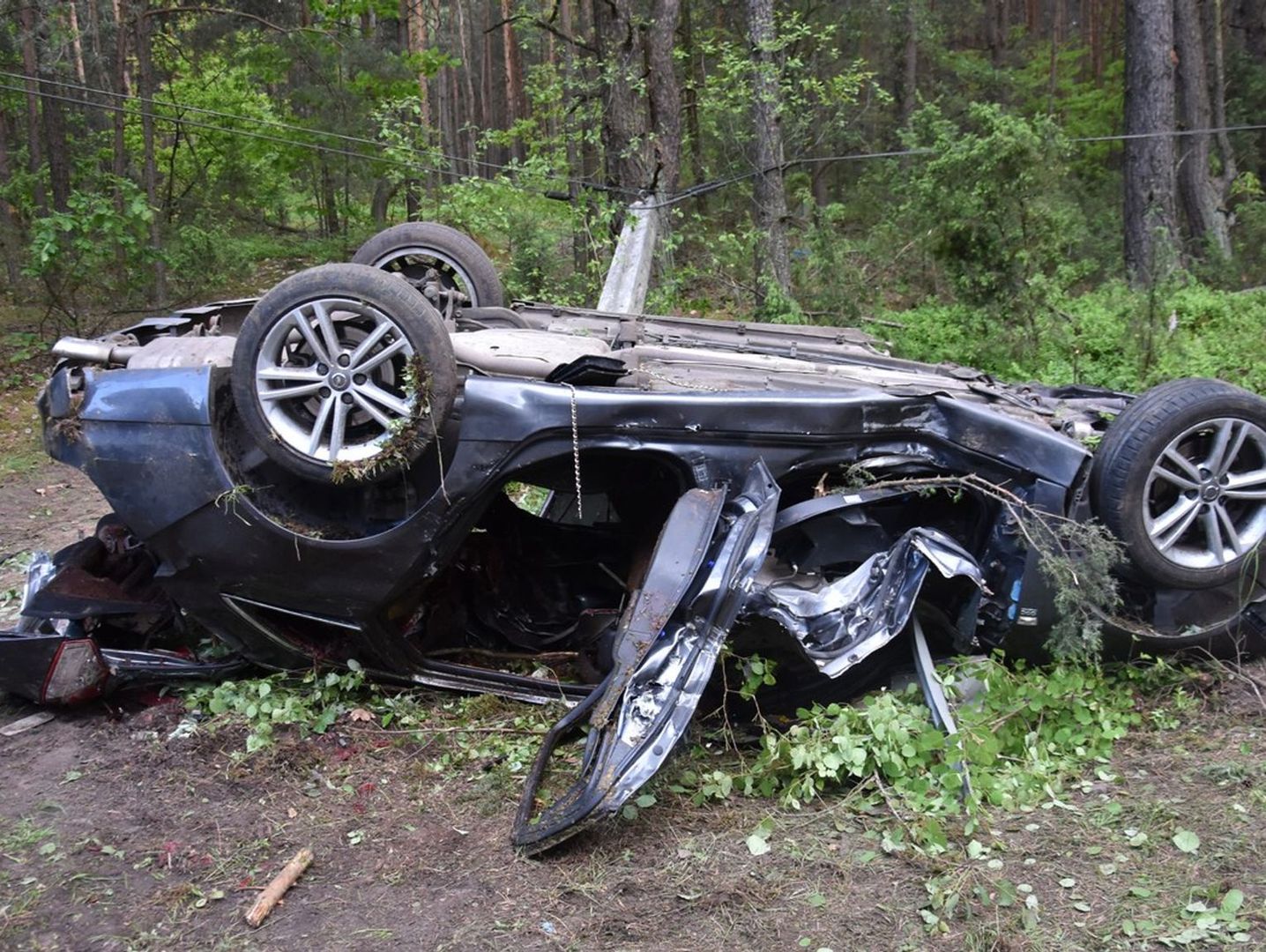 Uderzyli w łosia, drzewo i betonowy słup. Nie żyją dwie osoby