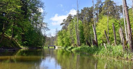Koszą rzekę na Warmii. Utrudnienia dla turystów