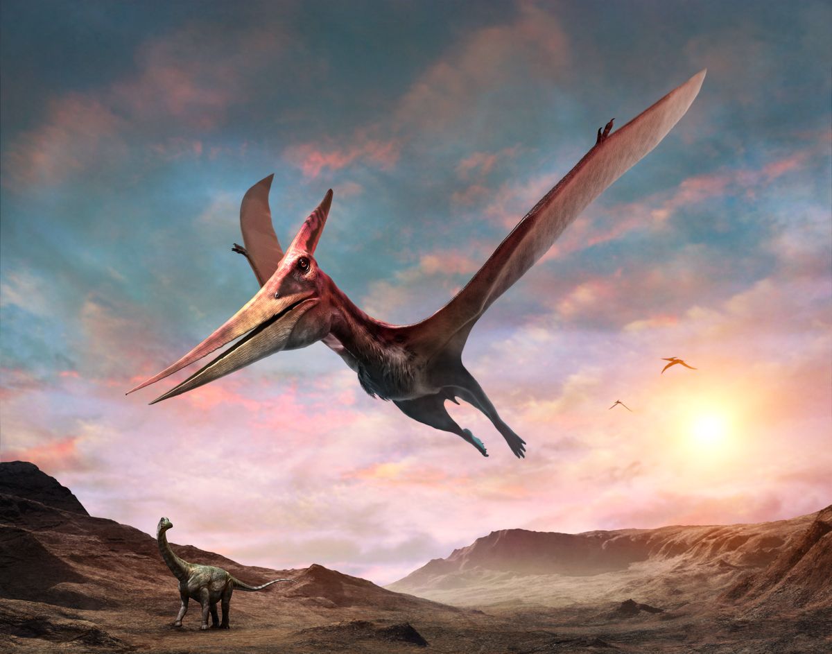 Ptelozaury były latającymi gadami 