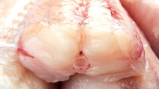 Polacy jej nie znają. Ta ryba wspiera serce i kości