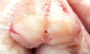 Polacy jej nie znają. Ta ryba wspiera serce i kości